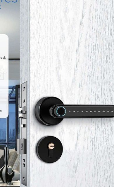 Fingerprint and keypad lever, minimal