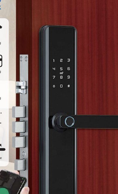 Slim fingerprint lever