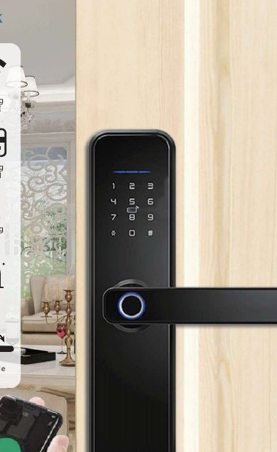 Fingerprint, keypad and card lever