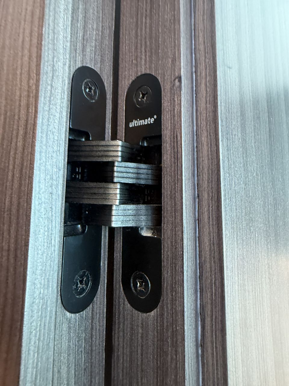 Concealed Hinge On Walnut Door Edge