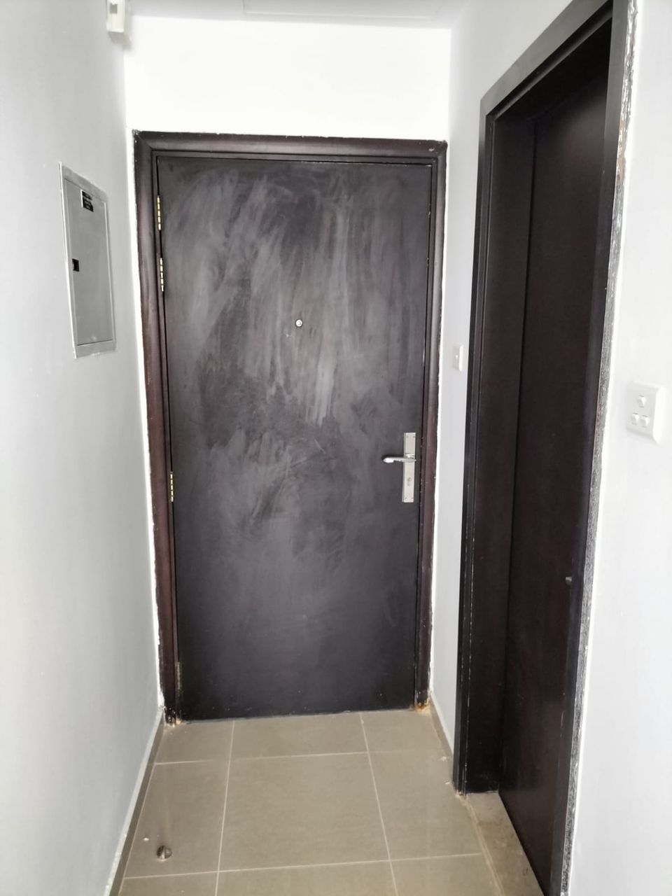 Dark Wenge Flush Door With Matching Frame