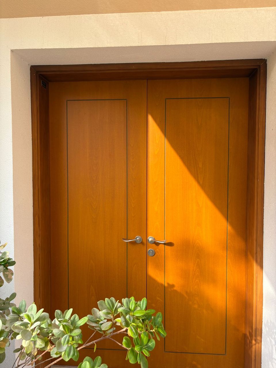 Oak double main door with glass slots