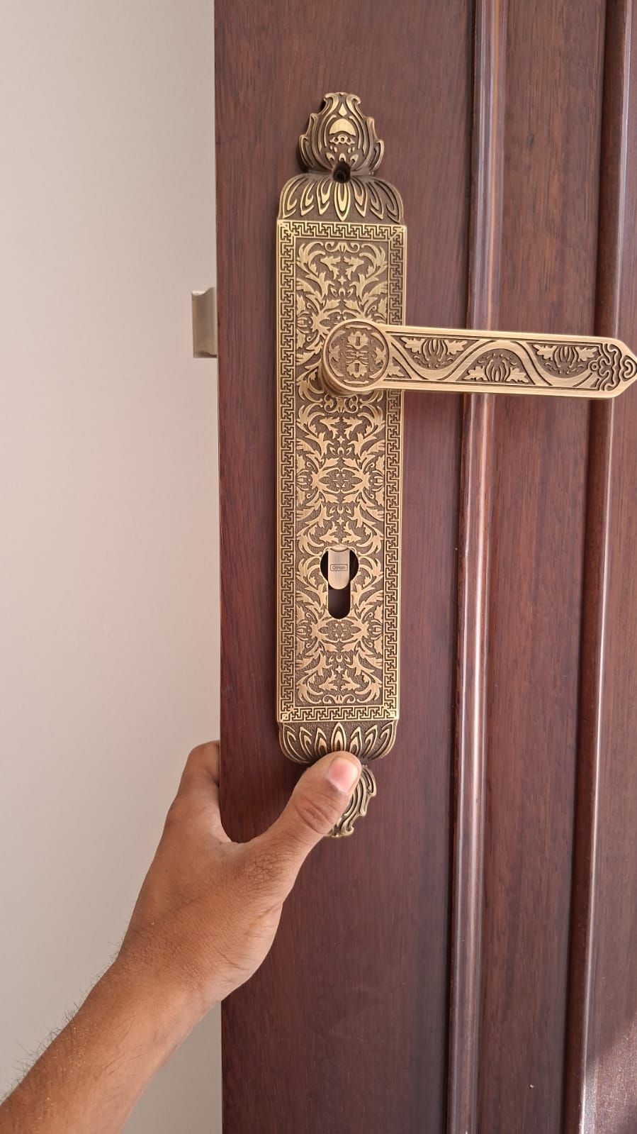 Ornate Brass Lever On Mahogany Door