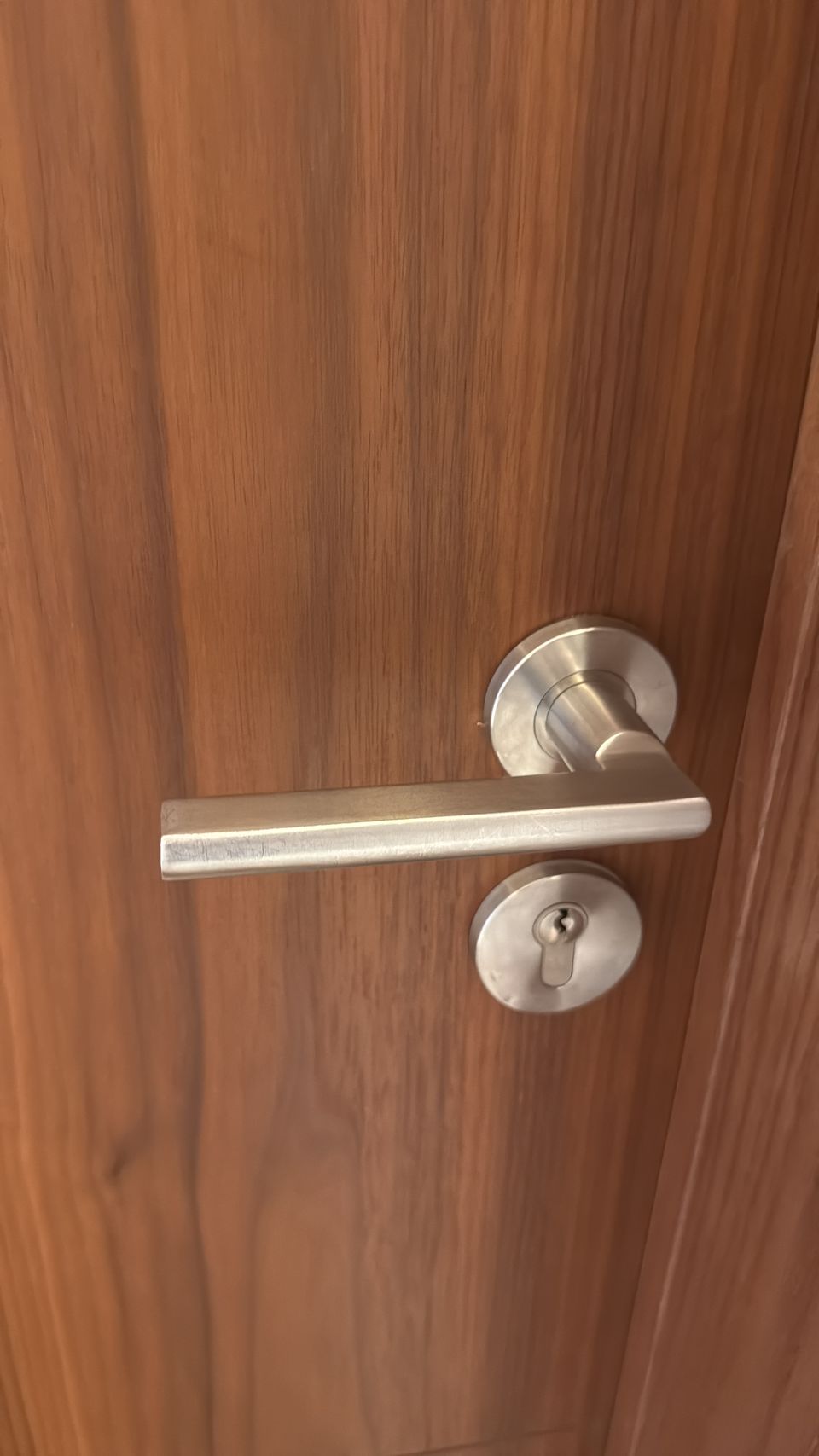 Walnut Door With Satin Steel Lever