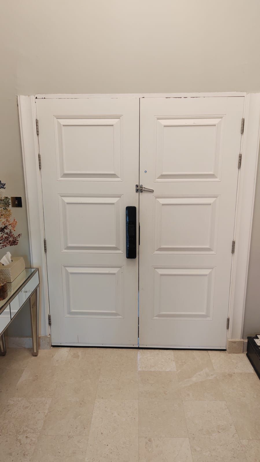 White Raised Panel Double Doors With Smart Lock